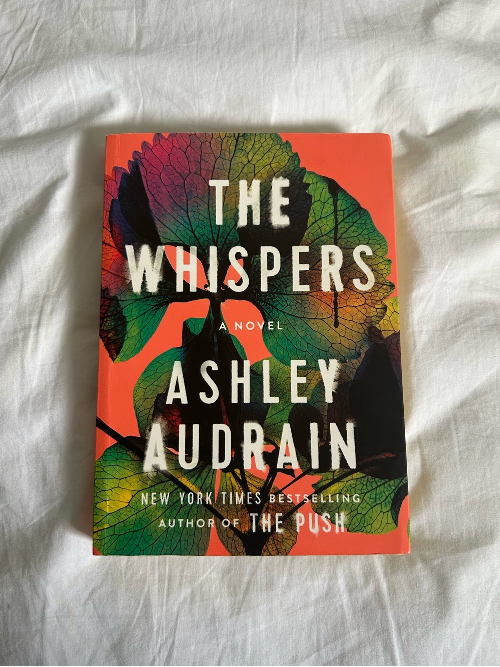3/25$ The whispers book by Ashley Audrain
